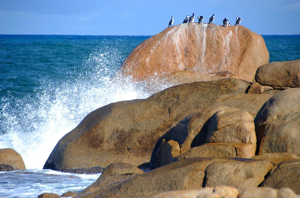 Cloudy Bay Beach House South Bruny Esterno foto